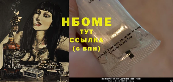 стаф Корсаков