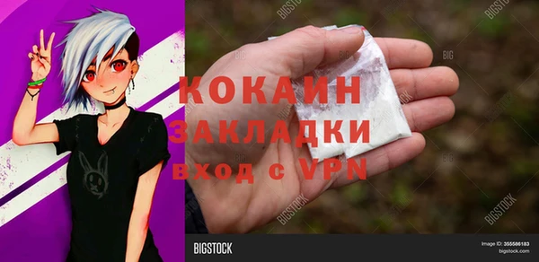 стаф Корсаков