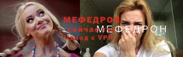 стаф Корсаков