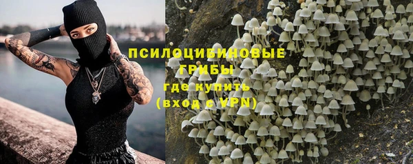 MESCALINE Коряжма