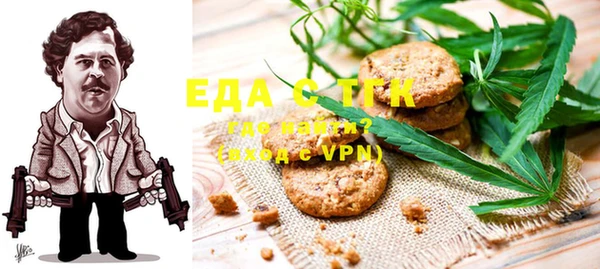 стаф Корсаков