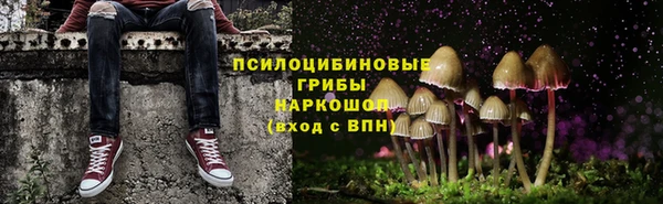 прущие крисы Костерёво