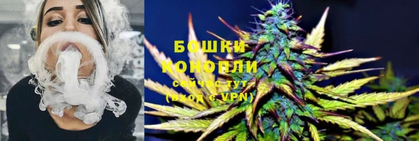 стаф Корсаков