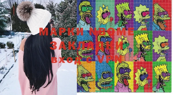 стаф Корсаков