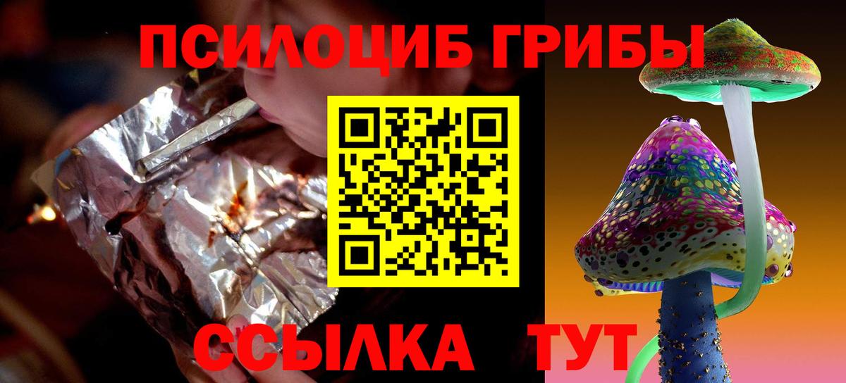 Петровск  Псилоцибиновые грибы Cubensis  Вход с VPN 