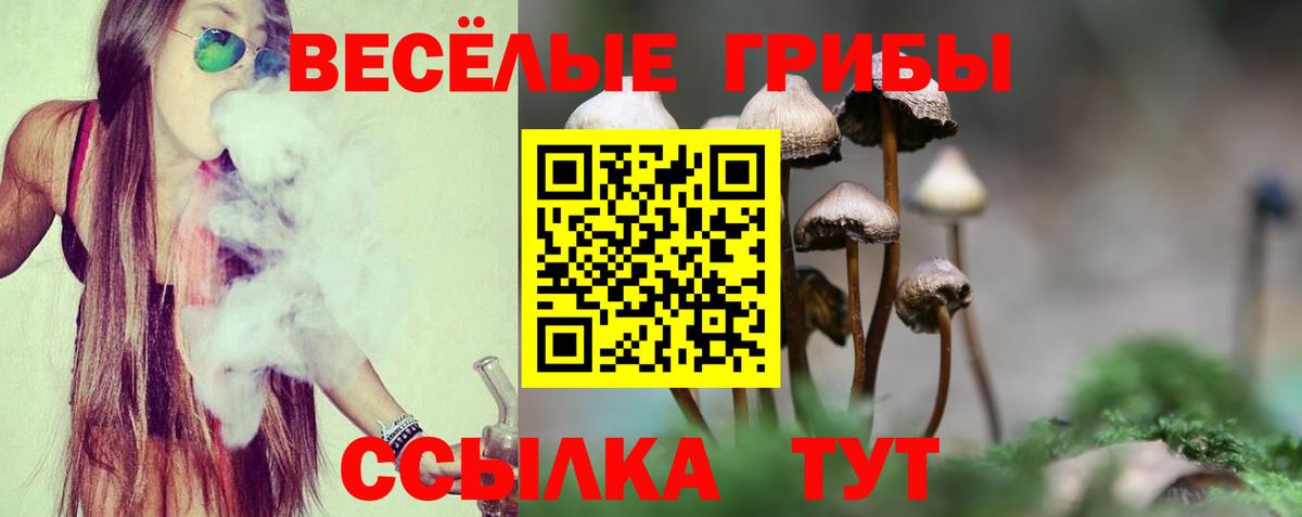 Галлюциногенные грибы Magic Shrooms Петровск